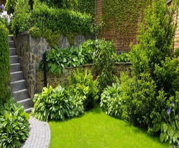 Entretien de votre jardin pour profiter pleinement de votre été 