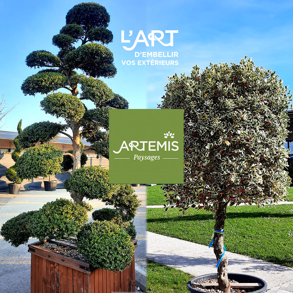 arbre exeption besancon